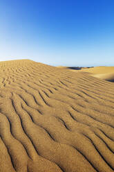 Naturschutzgebiet Dünen von Maspalomas, Gran Canaria, Kanarische Inseln, Spanien, Atlantik, Europa - RHPLF00484