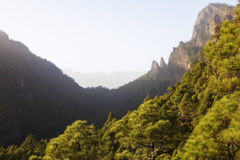 Nationalpark Caldera de Taburiente, UNESCO-Biosphärengebiet, La Palma, Kanarische Inseln, Spanien, Atlantik, Europa - RHPLF00500