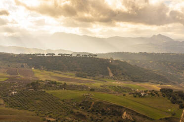 Grüne Felder und Berglandschaft in der Umgebung von Ronda, Andalusien, Spanien, Europa - RHPLF00585