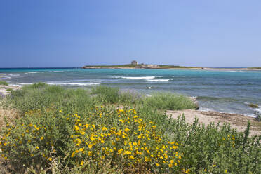 Blick über die Bucht auf die Inselfestung von Capo Passero, Portopalo di Capo Passero, Syrakus (Siracusa), Sizilien, Italien, Europa - RHPLF00593