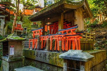 Fushimi Inari Taisha, der wichtigste Shinto-Schrein, berühmt für seine tausend roten Torii-Tore, Kyoto, Japan, Asien - RHPLF00620