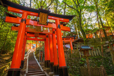 Tausend Torii-Tore, Fushimi Inari Taisha, der wichtigste Shinto-Schrein, Kyoto, Japan, Asien - RHPLF00621