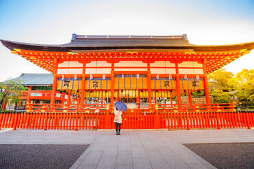 Sonnenaufgangslichtaufnahme des Fushimi Inari Taisha, des wichtigsten und ältesten Shinto-Heiligtums in Kyoto, Japan, Asien - RHPLF00622
