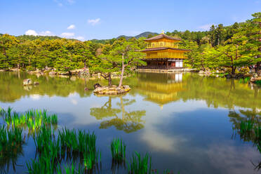 Kinkaku-ji (Goldener Pavillon) (Rokuon-ji), Zen-buddhistischer Tempel, der sich im See spiegelt, umgeben von einem malerischen Park, UNESCO-Weltkulturerbe, Kyoto, Japan, Asien - RHPLF00633