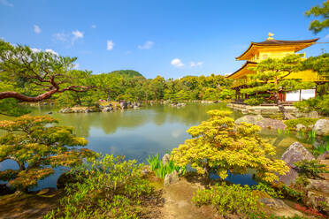 Kinkaku-ji (Goldener Pavillon) (Rokuon-ji), Zen-buddhistischer Tempel, der sich im See spiegelt, umgeben von einem malerischen Park, UNESCO-Weltkulturerbe, Kyoto, Japan, Asien - RHPLF00634