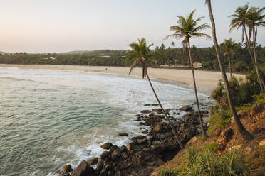 Sonnenuntergang hinter Palmen, Talalla Beach, Südküste, Sri Lanka, Asien - RHPLF00690