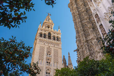 Cathedral of Seville and La Giralda, UNESCO World Heritage Site, Seville, Andalucia, Spain, Europe - RHPLF00772