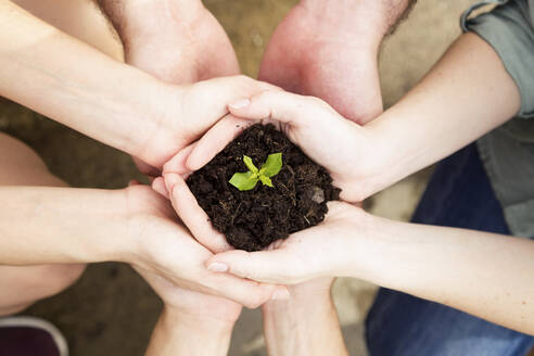 Close-up of hands of friends holding a young plant - JSRF00529