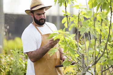 Young man examining plant in the greenhouse - JSRF00530