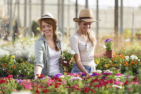 Two beautiful smiling women choosing flowers in the greenhouse - JSRF00540