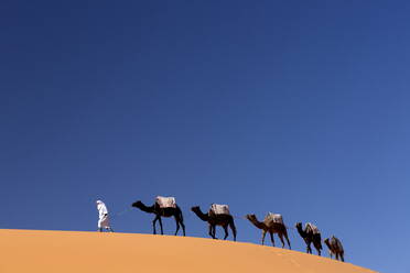 Berber man leading a train of camels over the orange sand dunes of the Erg Chebbi sand sea, Sahara Desert near Merzouga, Morocco, North Africa, Africa - RHPLF00815