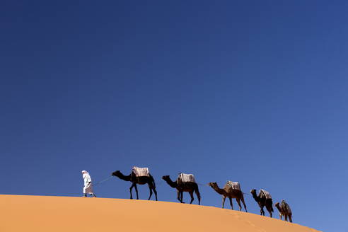 Berbermann führt einen Zug von Kamelen über die orangefarbenen Sanddünen des Erg Chebbi Sandmeeres, Sahara-Wüste bei Merzouga, Marokko, Nordafrika, Afrika - RHPLF00815