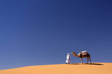 Berbermann mit Kamel auf dem Kamm einer orangefarbenen Sanddüne im Erg Chebbi Sandmeer, Sahara-Wüste bei Merzouga, Marokko, Nordafrika, Afrika - RHPLF00816