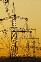 Power lines in morning light, Germany, Europe - RHPLF00840