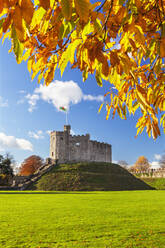 Norman Keep im Herbst, Cardiff Castle, Cardiff, Wales, Vereinigtes Königreich, Europa - RHPLF00854