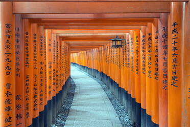 Torii-Tor am Fushimi Inari Jinja, Shinto-Schrein, UNESCO-Weltkulturerbe, Kyoto, Honshu, Japan, Asien - RHPLF00874