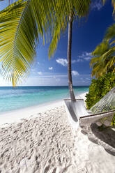 Hammock on tropical beach, Maldives, Indian Ocean, Asia - RHPLF00903