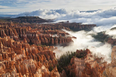 Pinnacles and hoodoos with fog extending into clouds of a partial temperature inversion, Bryce Canyon National Park, Utah, United States of America, North America - RHPLF00960