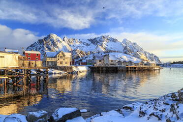 Die Sonne malt die Häuser über dem Hafen von Henningsvaer früh am Morgen, Lofoten, Arktis, Norwegen, Skandinavien, Europa - RHPLF00976