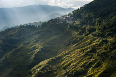 Die Yuanyang-Reisterrassen in China wurden über Hunderte von Jahren von den Hani angelegt, Provinz Yunnan, China, Asien - RHPLF01012