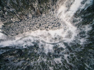 Aerial view of an Estonian forest and a frozen river covered with snow during winter - AAEF03585
