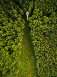 Luftbildaufnahme eines von einem Wald umgebenen Leuchtturms in Estland - AAEF03592