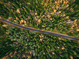 Aerial view of a straight road surrounded by forest during fall season in Estonia - AAEF03594