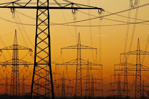 Pylons and power lines in morning light, Germany, Europe - RHPLF01031