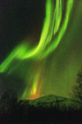 Aurora borealis (Northern Lights) on Kungsleden (Kings Trail), Abisko National Park, Lapland, Arctic Circle, Sweden, Scandinavia, Europe - RHPLF01071