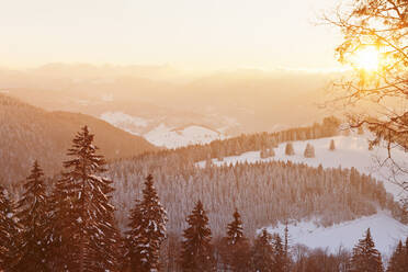 Winterlandschaft bei Sonnenaufgang, Berg Belchen, Schwarzwald, Baden-Württemberg, Deutschland, Europa - RHPLF01157