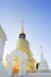 Chedis (Stupas) im Tempel des Wat Suan Dok, Chiang Mai, Thailand, Südostasien, Asien - RHPLF01166