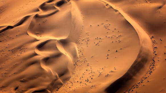 Sanddünen der Namibischen Wüste, Namibia, Afrika - RHPLF01232