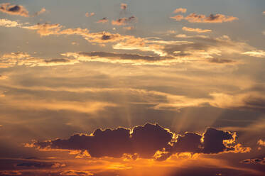 Sonnenuntergang über der Kalahari, Botswana, Afrika - RHPLF01303