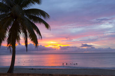 Mullins Beach, St. Peter, Barbados, West Indies, Caribbean, Central America - RHPLF01334