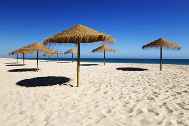 Strohsonnenschirme am leeren weißen Sandstrand mit klarem Meer dahinter, Ilha do Farol, Culatra Barrier Island, Olhao, Algarve, Portugal, Europa - RHPLF01337