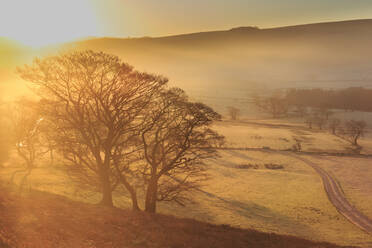 Misty and frosty sunrise with a copse of trees in winter, Castleton, Peak District National Park, Hope Valley, Derbyshire, England, United Kingdom, Europe - RHPLF01372