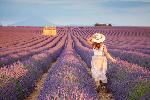 Frau mit Hut läuft in Lavendelfeldern, Plateau de Valensole, Alpes-de-Haute-Provence, Provence-Alpes-Cote d'Azur, Frankreich, Europa, lizenzfreies Stockfoto