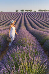 Woman with hat in lavender fields, Plateau de Valensole, Alpes-de-Haute-Provence, Provence-Alpes-Cote d'Azur, France, Europe - RHPLF01492