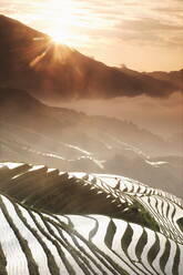 Sonnenaufgang im Juni, Terrassenreisfelder von Longsheng, Provinz Guangxi, China, Asien - RHPLF01583