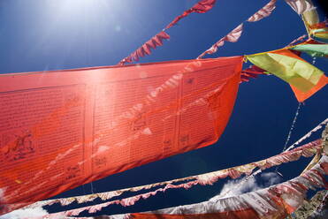 Rote Gebetsfahnen vor blauem Himmel, Yushu, Qinghai, China, Asien - RHPLF01587