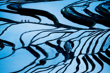 Duoyishu Rice Terraces at dawn, UNESCO World Heritage Site, Yuanyang, Yunnan Province, China, Asia - RHPLF01609