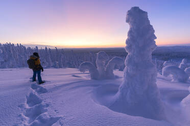 Wanderer im gefrorenen Wald, Riisitunturi-Nationalpark, Posio, Lappland, Finnland, Europa - RHPLF01631