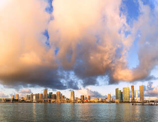 Panoramablick auf die Skyline von Miami von Watson Island aus gesehen, Miami, Florida, Vereinigte Staaten von Amerika, Nordamerika - RHPLF01635