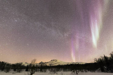 Nordlicht (Aurora borealis), Skoddebergvatnet, Grovfjord, Bezirk Troms, Lofoten, Nordland, Norwegen, Europa - RHPLF01637