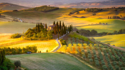 Klassische toskanische Landschaft bei Sonnenaufgang, Toskana, Italien, Europa - RHPLF01660