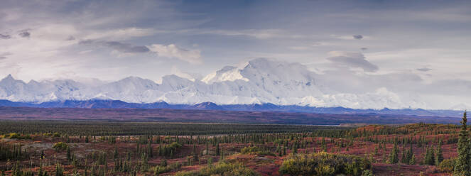 Panoramalandschaft des Denali Mountain (Mount McKinley), Denali National Park, Alaska, Vereinigte Staaten von Amerika, Nordamerika - RHPLF01717