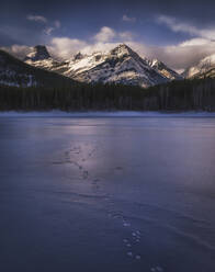 Winterlandschaft der kanadischen Rockies am Wedge Pond, Spuren von Wildtieren auf gefrorenem See, Kananaskis, Alberta, Kanada, Nordamerika - RHPLF01719