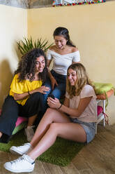 Drei glückliche junge Frauen teilen sich ein Smartphone - MGIF00660