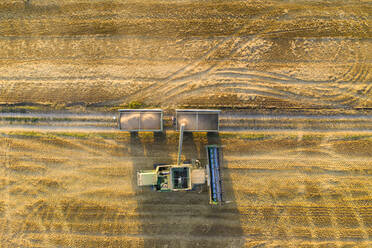 Aerial view of combine harvester on agricultural field during sunset - AMF07274