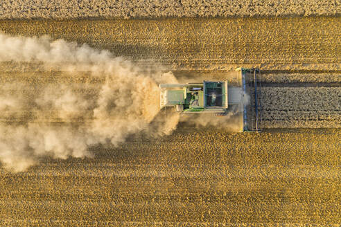 Luftaufnahme eines Mähdreschers auf einem landwirtschaftlichen Feld bei Sonnenuntergang - AMF07275